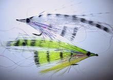 Load image into Gallery viewer, FLY CATCHERS ZEBRA MINNOW
