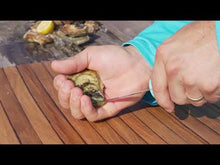 Load and play video in Gallery viewer, TOAD FISH PUT &#39;EM BACK OYSTER KNIFE
